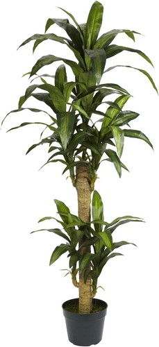 5ft yucca silk plant - 5ft., green