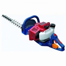 Kawasaki E8FV60 - Tosasiepi