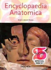 Encyclopaedia anatomica  von