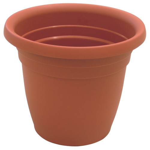 Vaso campana thea - vaso,