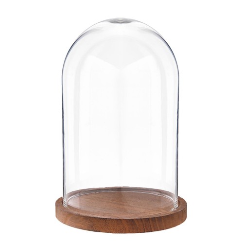 Espositore vetro cloche - vetro,