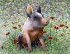 Piastrella accento e