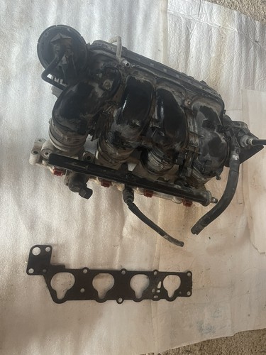 Collettore aspirazione alfa - collettore,