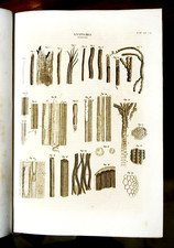 1849 Stampa Antica