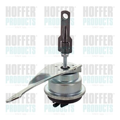 6601532 hoffer valvola - 6601532,