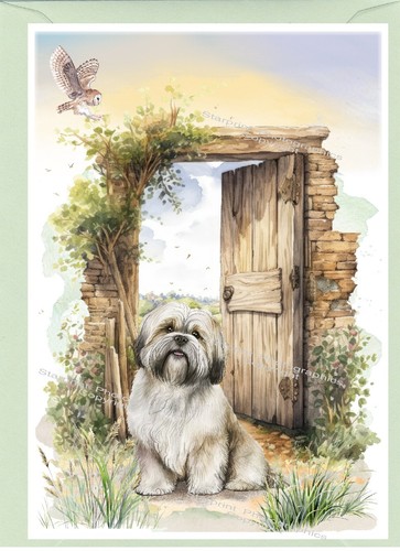 Biglietto auguri per cani - biglietto,