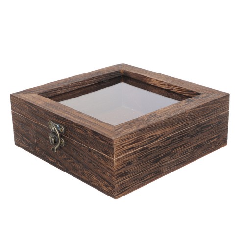 Insetto display espositore - insetto,