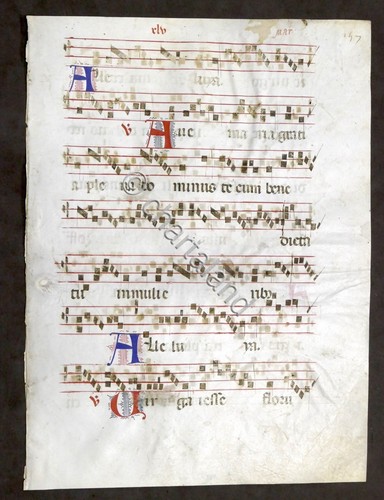 Pagina manoscritta originale