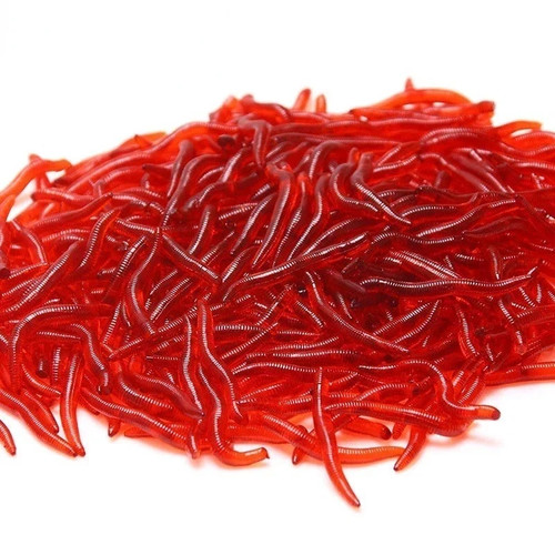 100 pezzi esche pesca - 100,