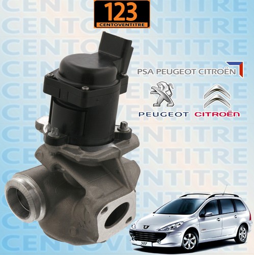 Valvola egr peugeot - egr,