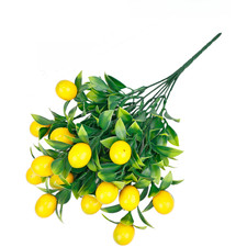 Centrotavola matrimonio frutta