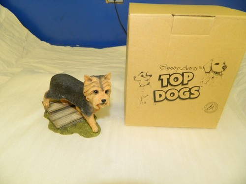 Yorkshire terrier yorkie dog - yorkie,