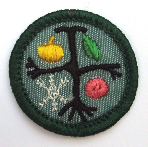 Girl scout 1963 1974 junior - 1963-1974,
