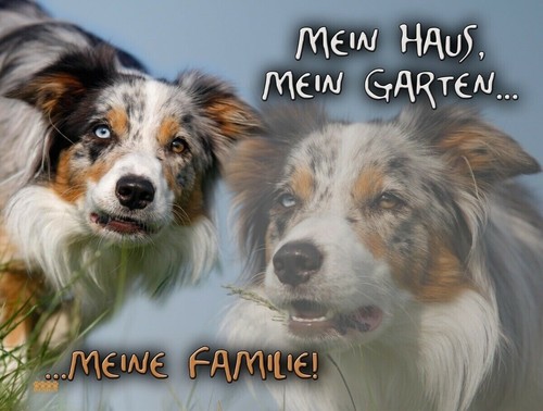 Targa avvertimento per cani - di,