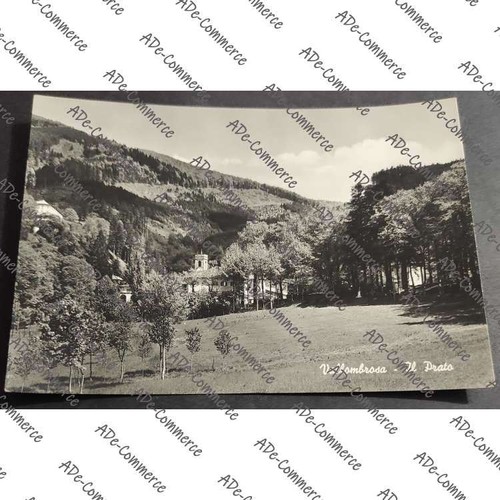 Cartolina vallombrosa il - -,