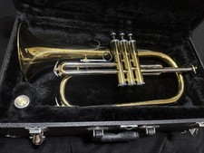 Maxtone Flugelhorn, pulizia ad ultrasuoni, custodia, ottime condizioni, pronto per giocare