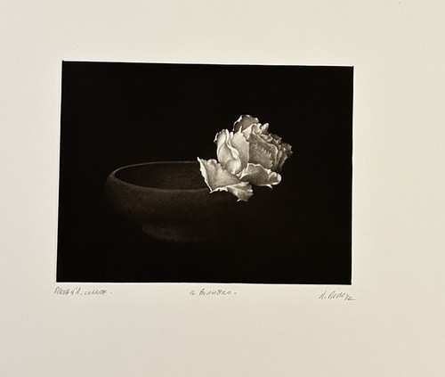 Alberto rocco il - -, bucchero