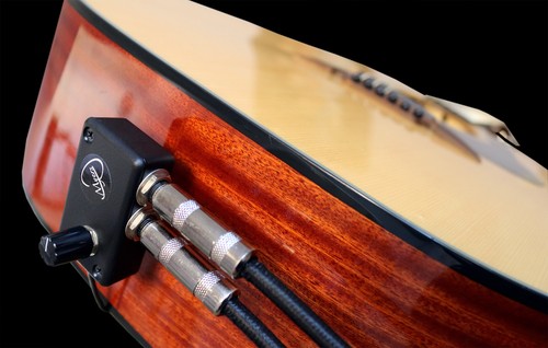 The blend mandolin - blend, pickups