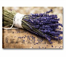 Lavanda Vintage - Quadro