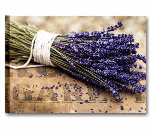 Lavanda vintage quadro - lavanda,