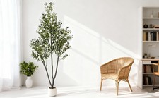 Ulivi Artificiali,Piante