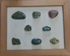 Composizione Di Pesci Dipinti Su Sassi