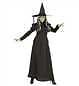 Costume strega delle fiabe - strega,