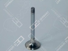 Exhaust valve OE GERMANY 5