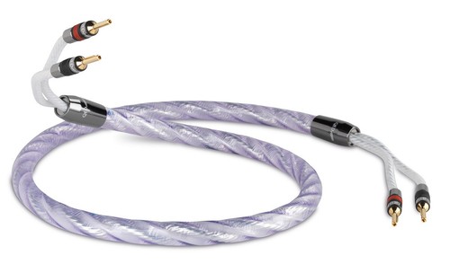 Qed signature genesis silver - signature,