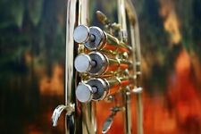 FLICORNO SOPRANO - COURTOIS AC155R. Una bomba di intonazione, come nuovo!