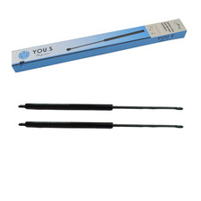 Ammortizzatore pressione gas