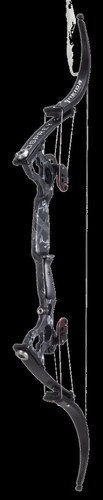 Oneida eagle osprey - oneida,