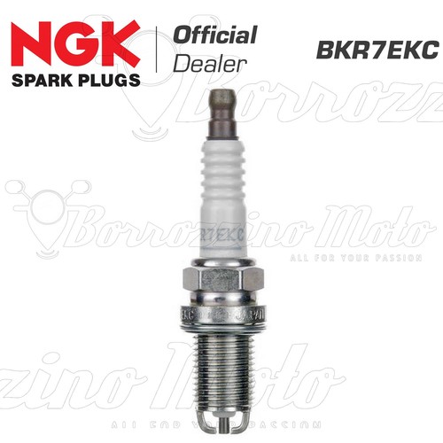Candela originale ngk bkr7ekc - ngk,