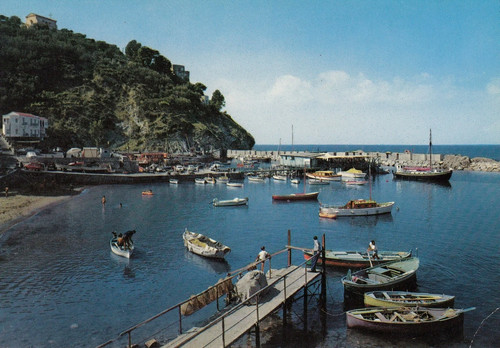 40d cartolina massa - 41-40d),