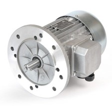 motori elettrici trif