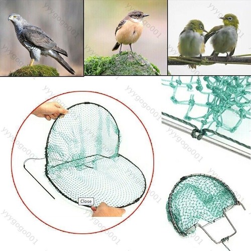 Trappola per uccelli - , cm