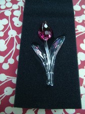 TULIPANO ROSA CRISTALLO
