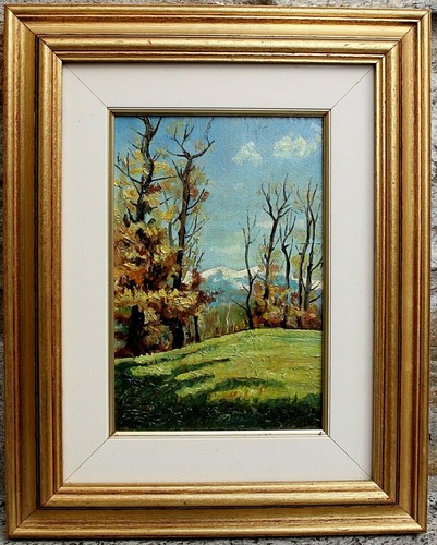 Antico quadro olio - quadro,