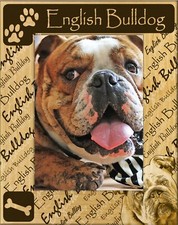 English Bulldog Laser Engraved