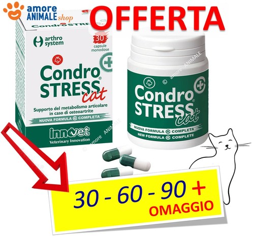 Innovet condrostress cat - innovet, (+)