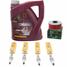 Confezione Revisione 4L Olio