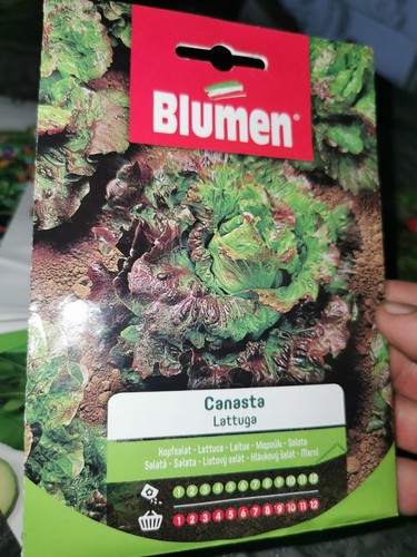 Bustina semi lattuga - bustina, di