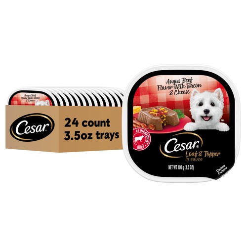 Cesar pagnotta topper in - pagnotta,