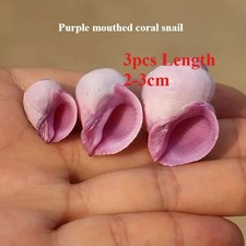 Pezzi lumaca corallo bocca - 3,