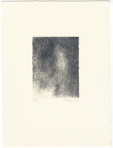 Pier luigi lavagnino muschi - pier, "muschi