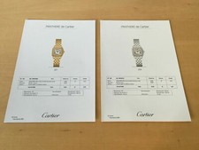 Immagini E Dettagli Panthere