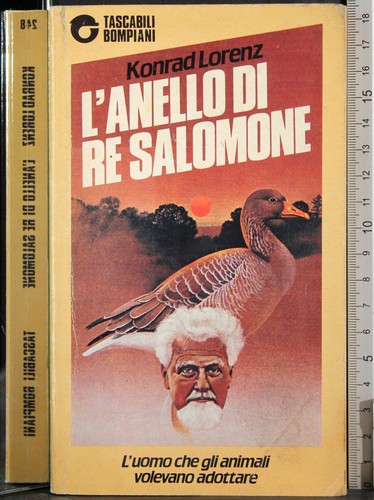 Anello re salomone - l'anello, di