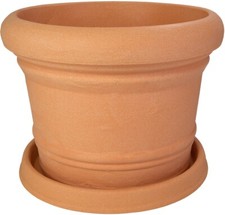 Vaso Di Fiori PALERMO Con