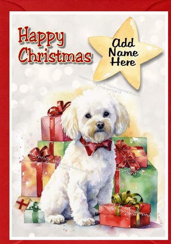 Biglietto natale bichon - biglietto,