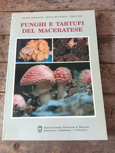 Funghi tartufi del - funghi, e